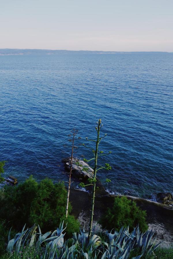 Apartment Doel Split